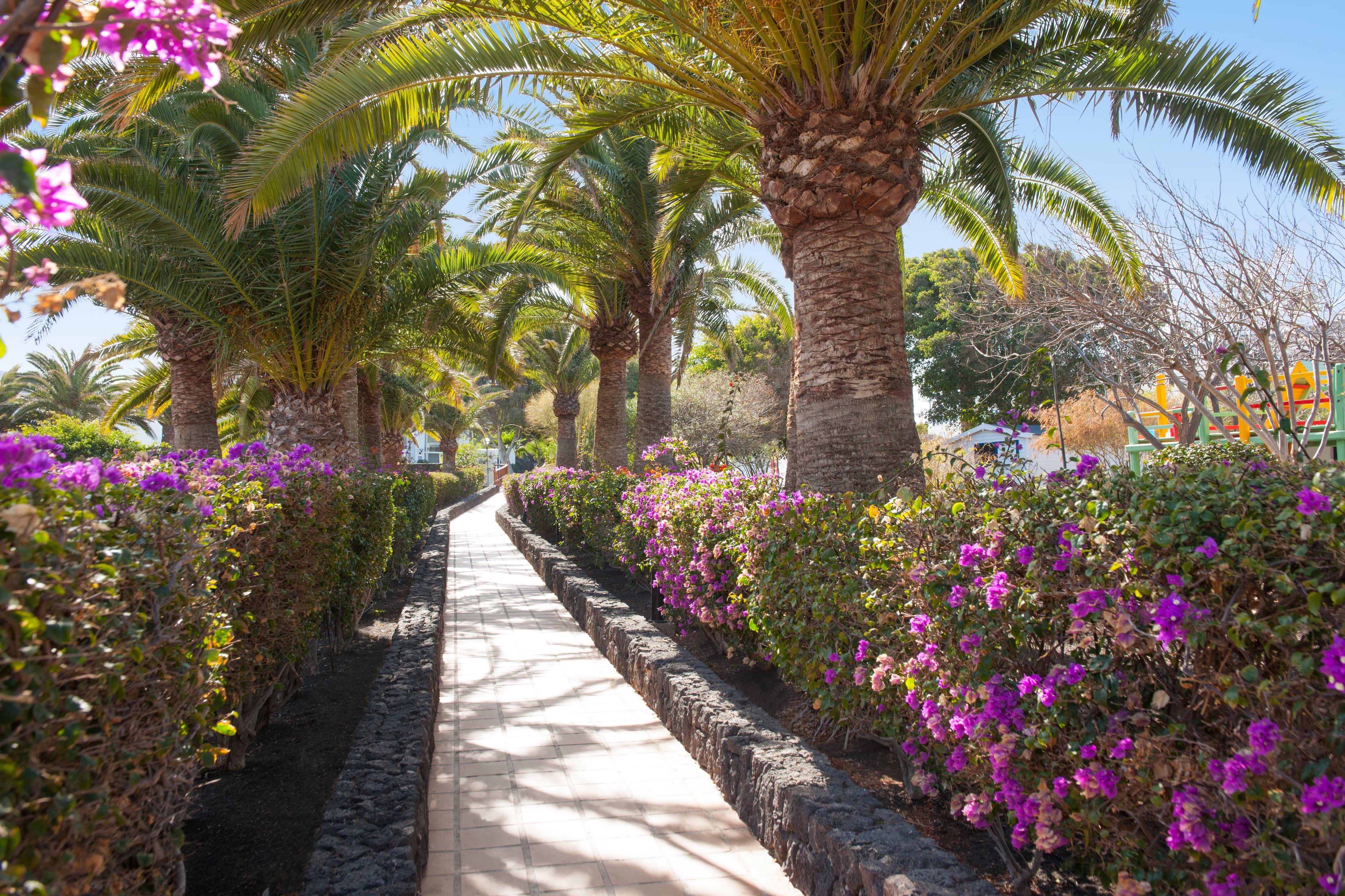 Relaxia Olivina Ξενοδοχείο Πουέρτο Ντελ Κάρμεν Εξωτερικό φωτογραφία